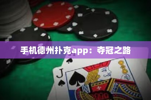手機德州撲克app：奪冠之路