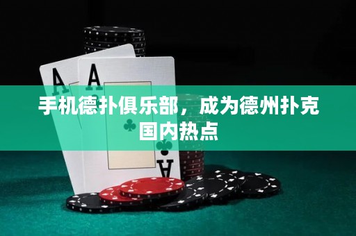 手機德?lián)渚銟凡浚蔀榈轮輷淇藝鴥?nèi)熱點