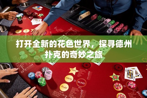 打開全新的花色世界，探尋德州撲克的奇妙之旅