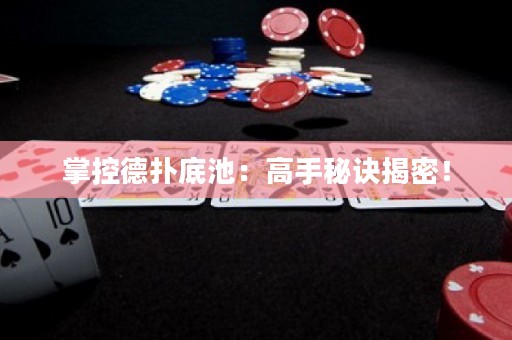 掌控德撲底池：高手秘訣揭密！