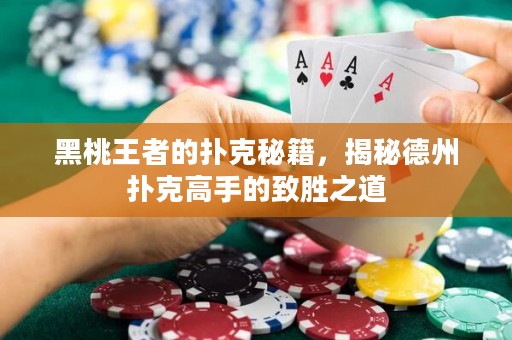黑桃王者的撲克秘籍，揭秘德州撲克高手的致勝之道