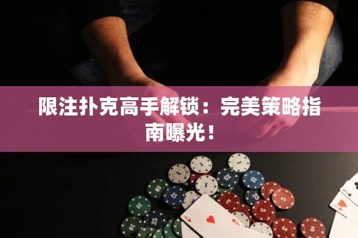 限注撲克高手解鎖：完美策略指南曝光！