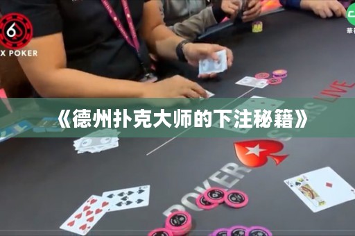 《德州撲克大師的下注秘籍》