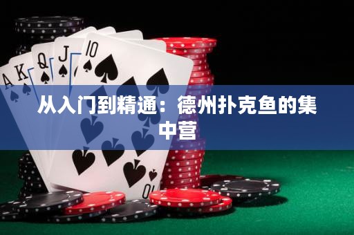 從入門到精通：德州撲克魚的集中營