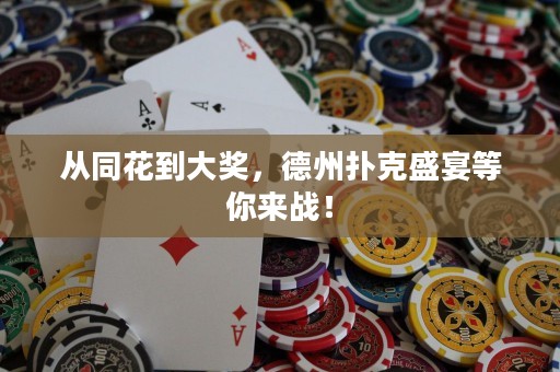 從同花到大獎，德州撲克盛宴等你來戰！