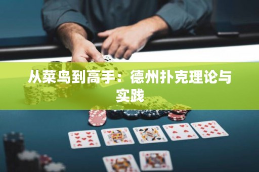 從菜鳥到高手：德州撲克理論與實踐