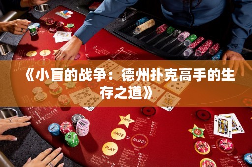 《小盲的戰(zhàn)爭(zhēng)：德州撲克高手的生存之道》