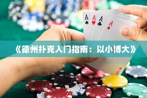 《德州撲克入門指南：以小博大》