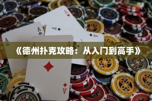 《德州撲克攻略：從入門到高手》