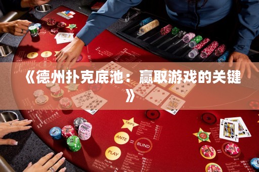 《德州撲克底池：贏取游戲的關鍵》