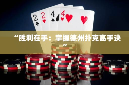 “勝利在手：掌握德州撲克高手訣”