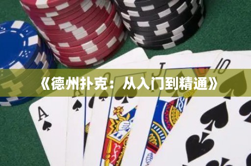 《德州撲克：從入門到精通》