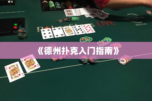 《德州撲克入門指南》